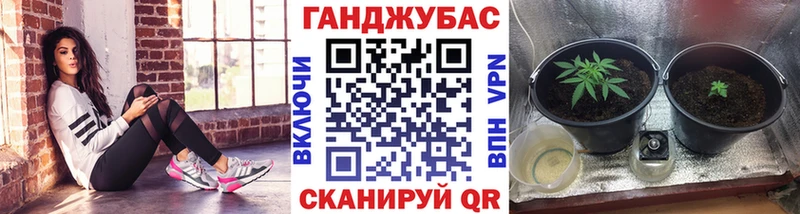 Каннабис гибрид  как найти   Мензелинск 